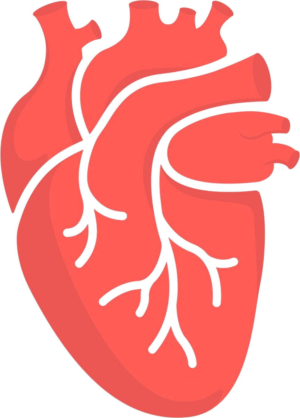 Congenital Septal Defects