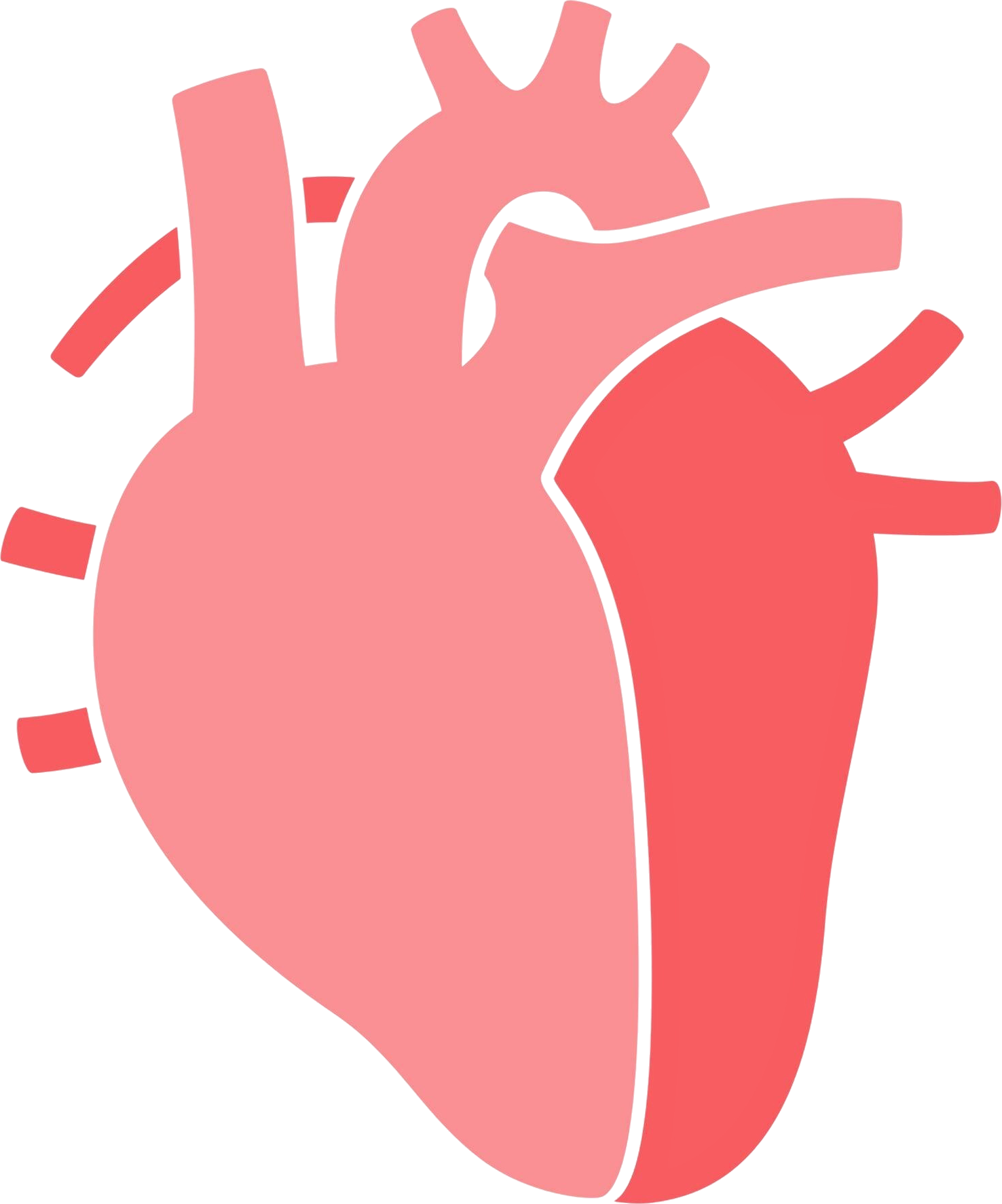 Coronary Artery Disease